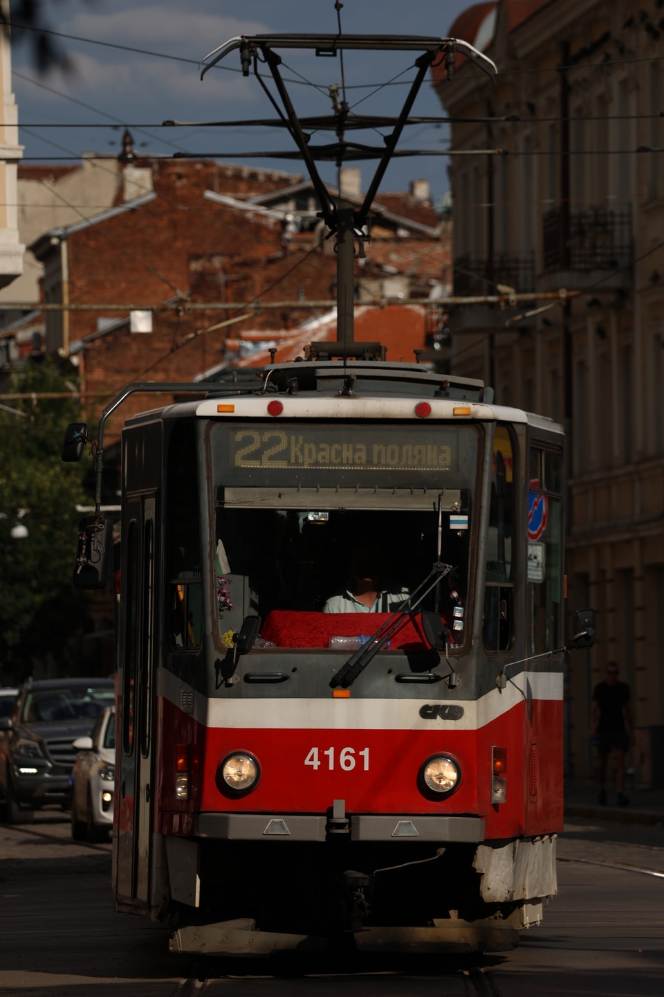 2025年11月22日の今日の1枚拡大写真です