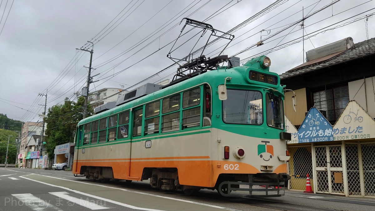 とさでん交通 桟橋車庫 600形 602