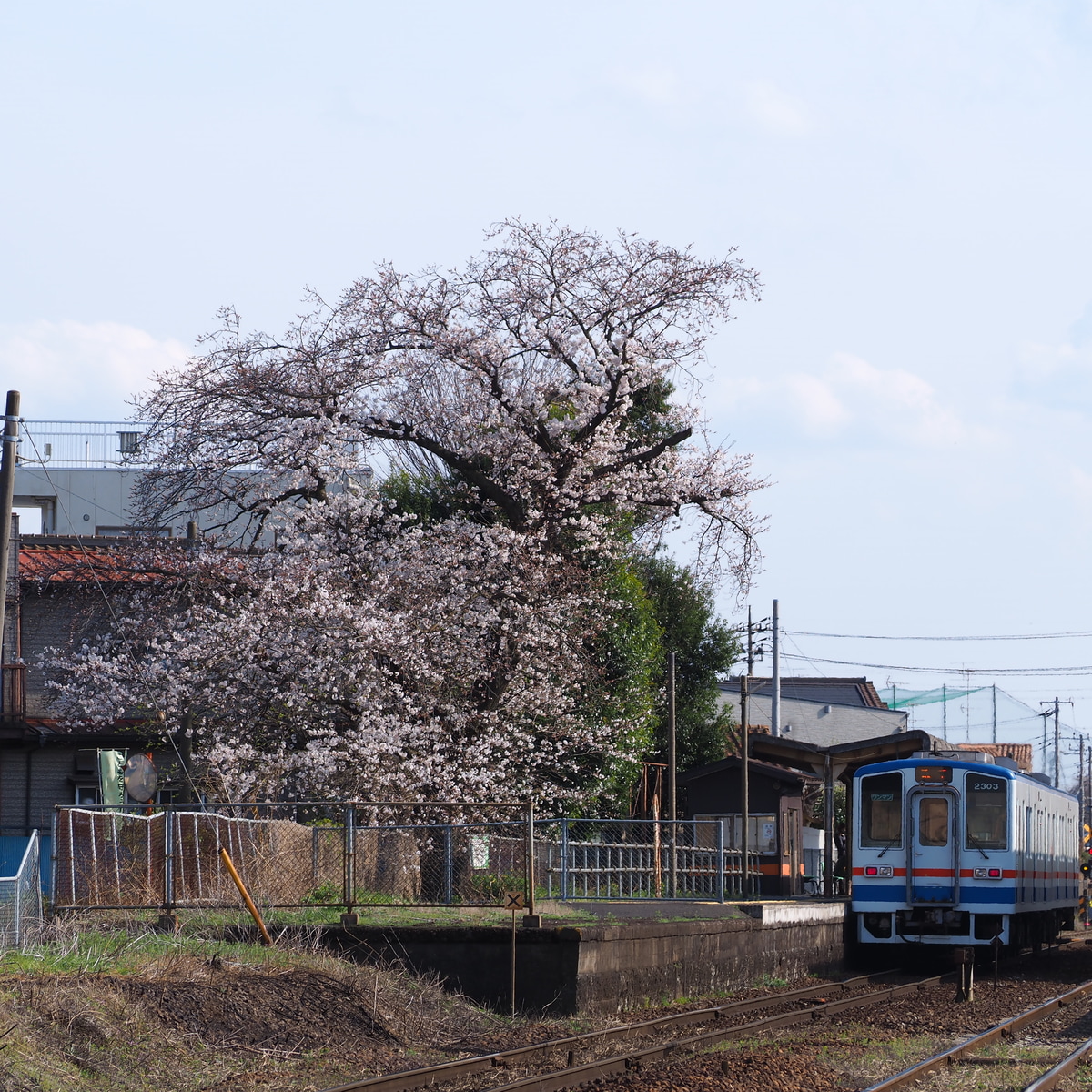 関東鉄道 水海道車両基地 キハ2300形 キハ2303