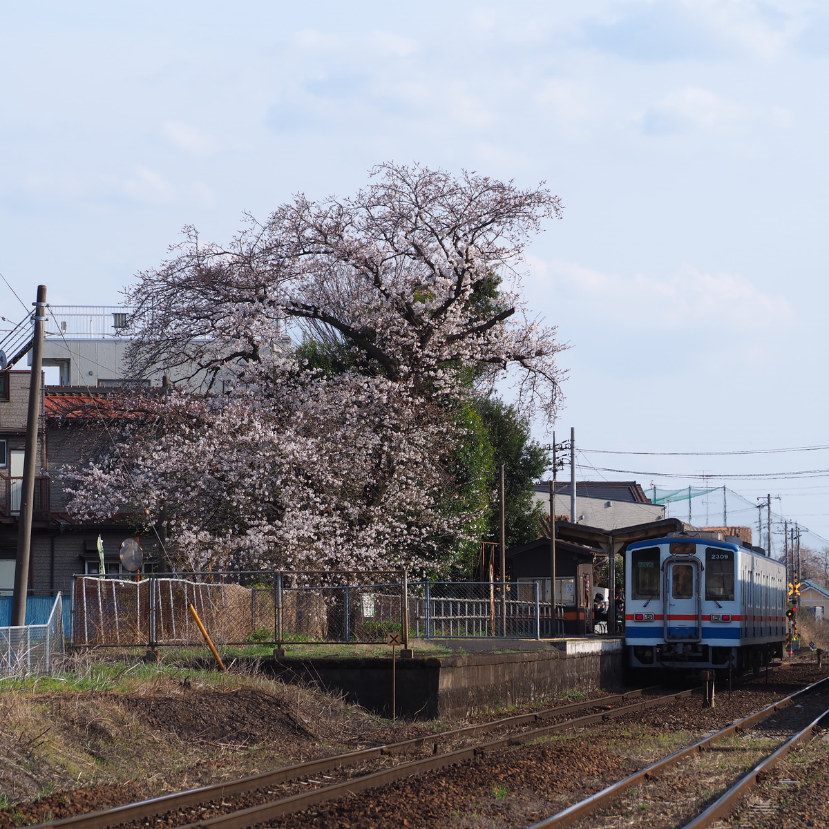 関東鉄道 水海道車両基地 キハ2300形 キハ2309
