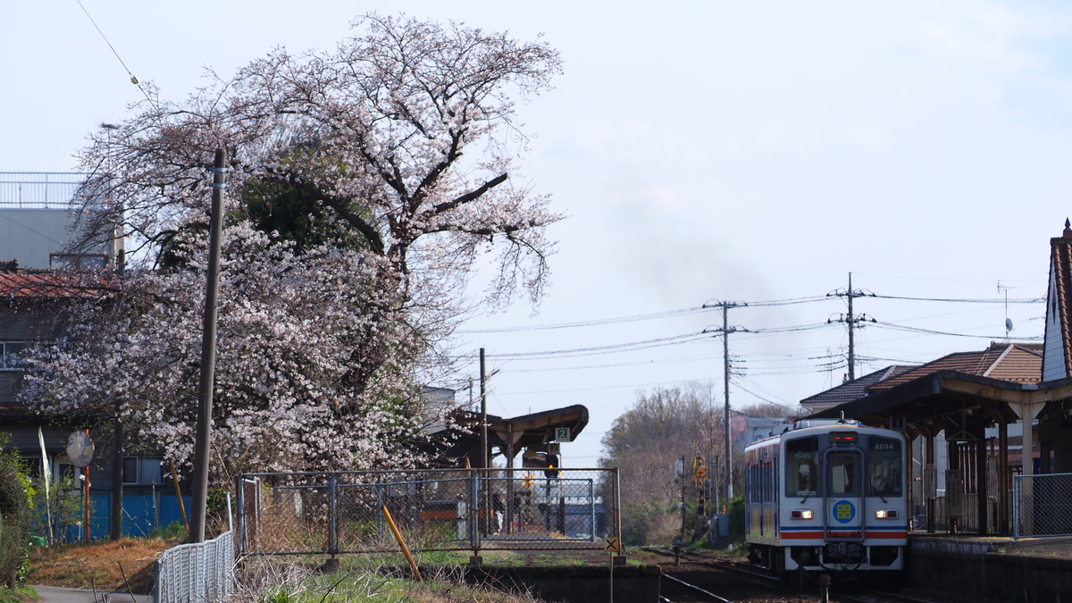 関東鉄道 水海道車両基地 キハ2200形 キハ2204