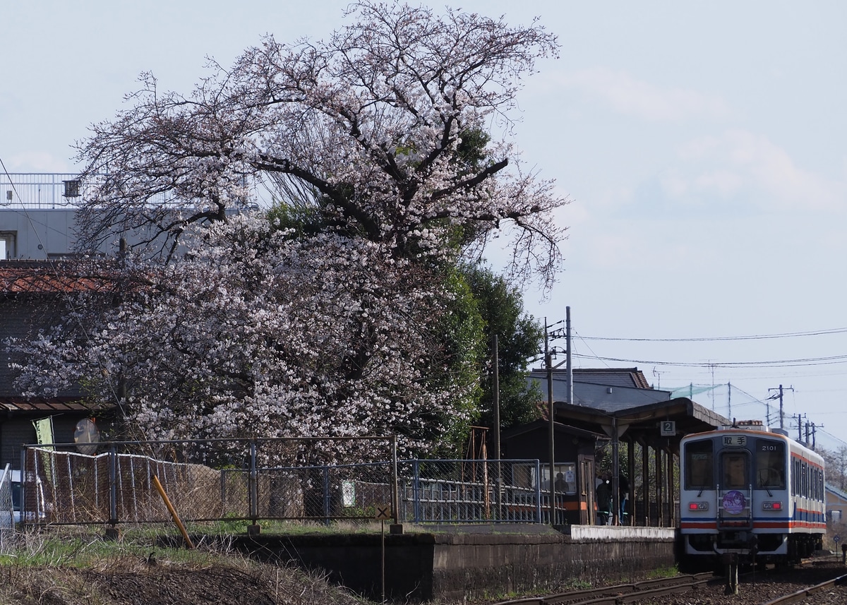 関東鉄道 水海道車両基地 キハ2100形 キハ2101