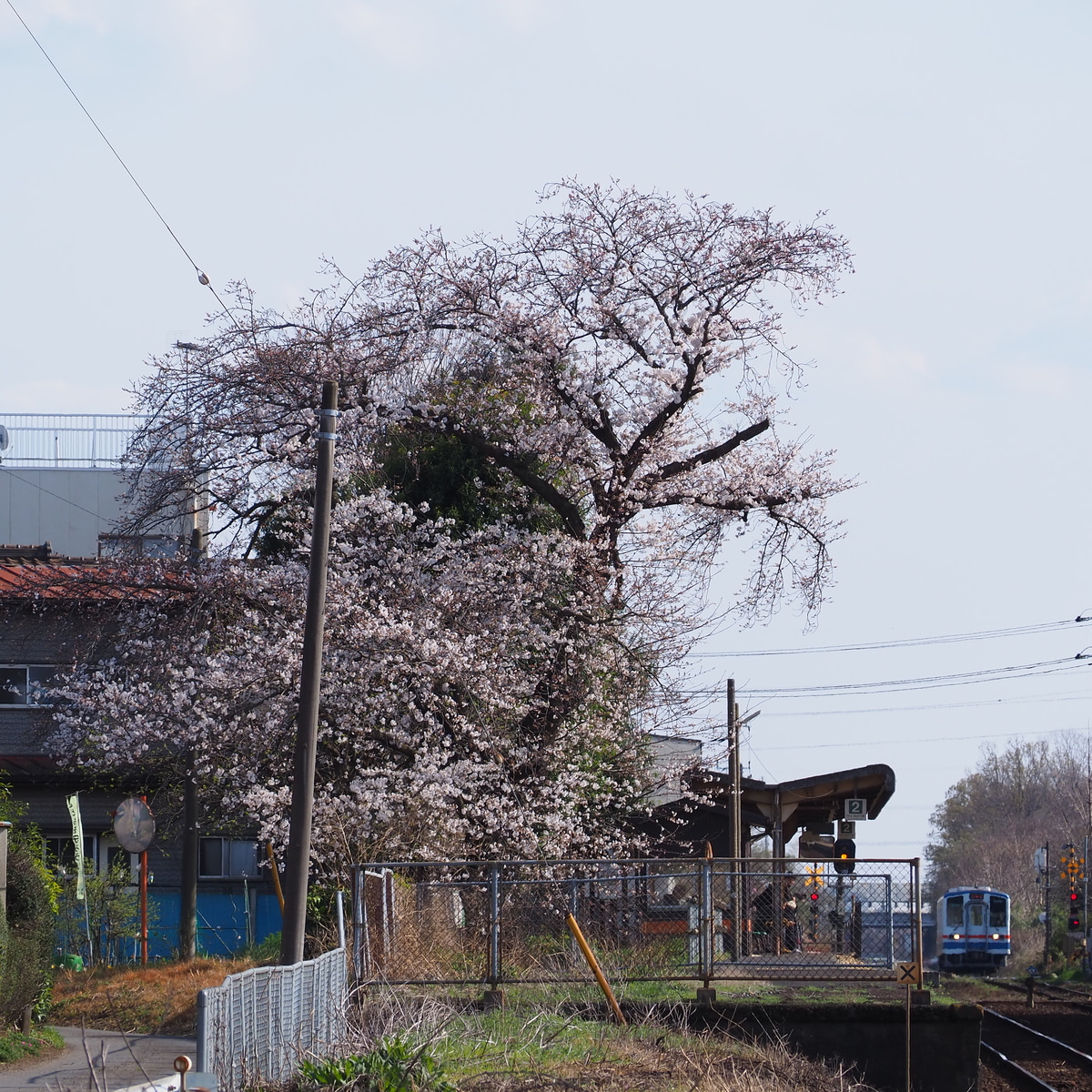 関東鉄道 水海道車両基地 キハ5000形 キハ5001