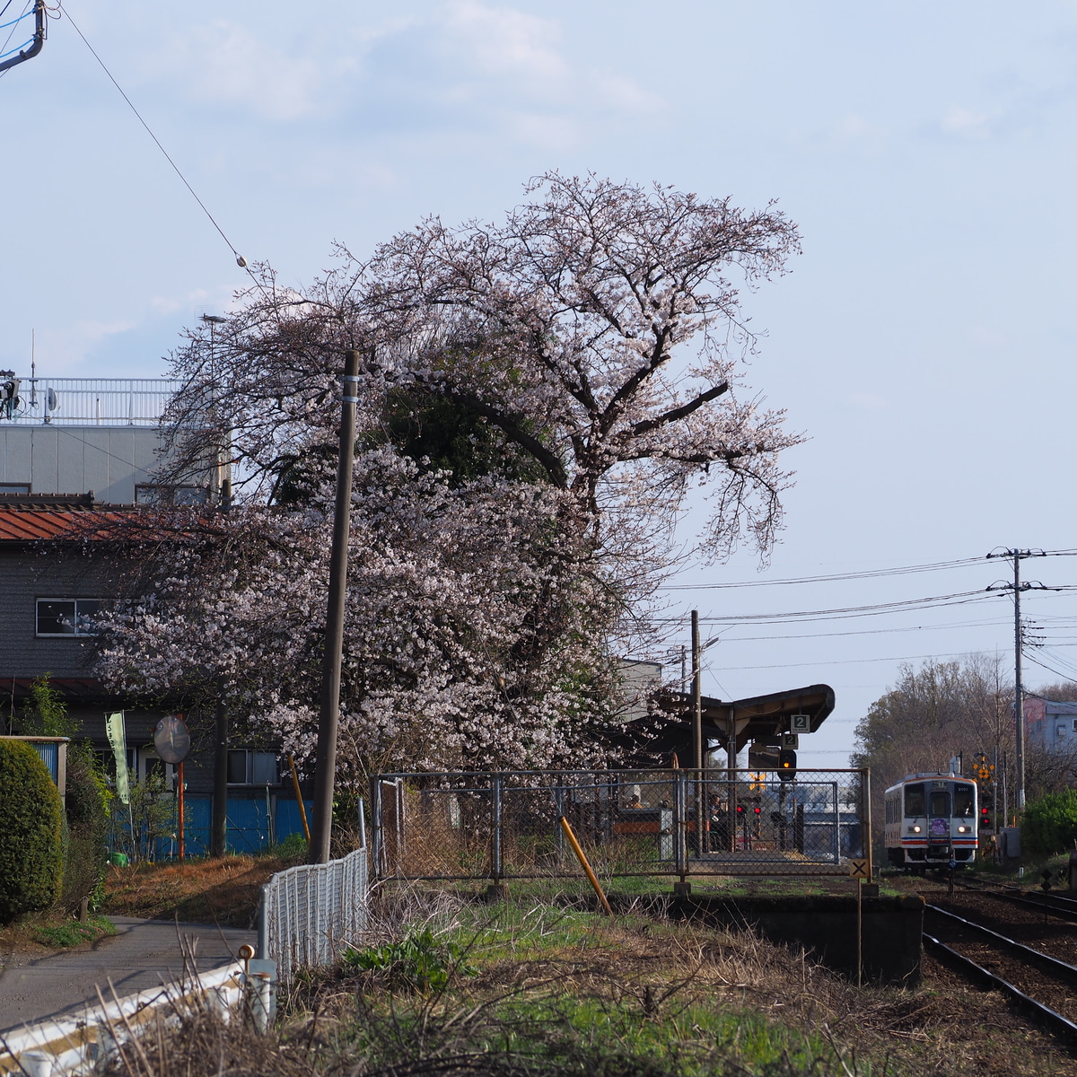 関東鉄道 水海道車両基地 キハ2100形 キハ2101