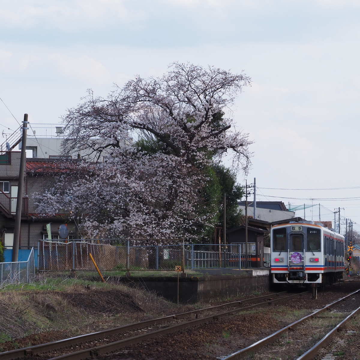 関東鉄道 水海道車両基地 キハ2100形 キハ2101