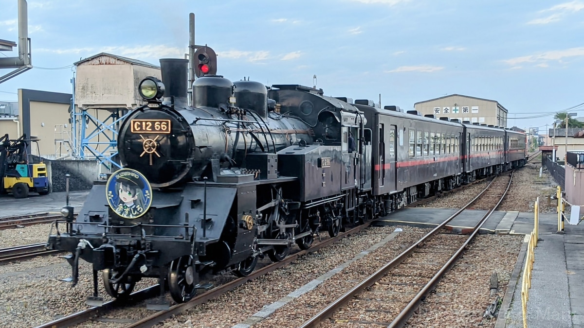 真岡鐵道 真岡機関区 C12形 C12 66