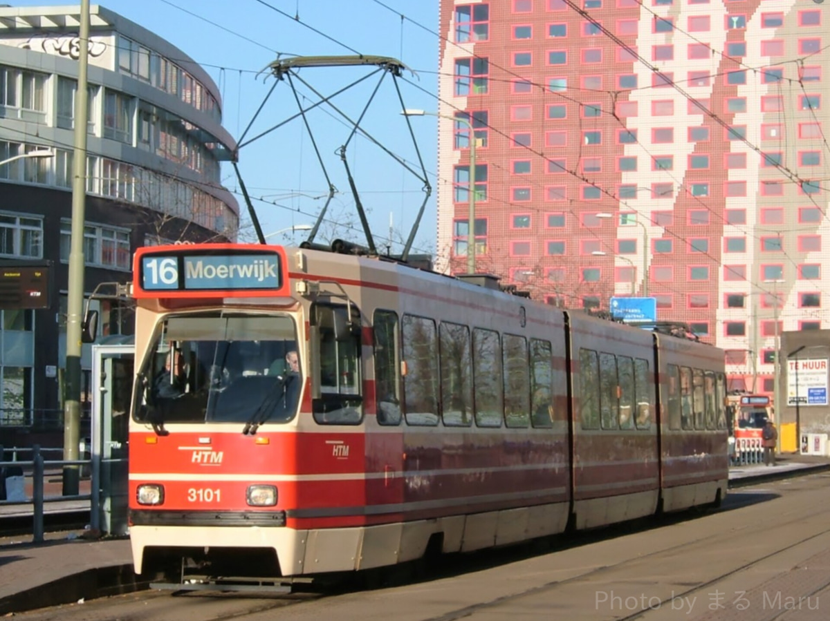 Haagsche Tramweg Maatschappij HTM (HTM Personenvervoer), Den Haag, Nederland Gelede Tram Lang (GTL8) 3101