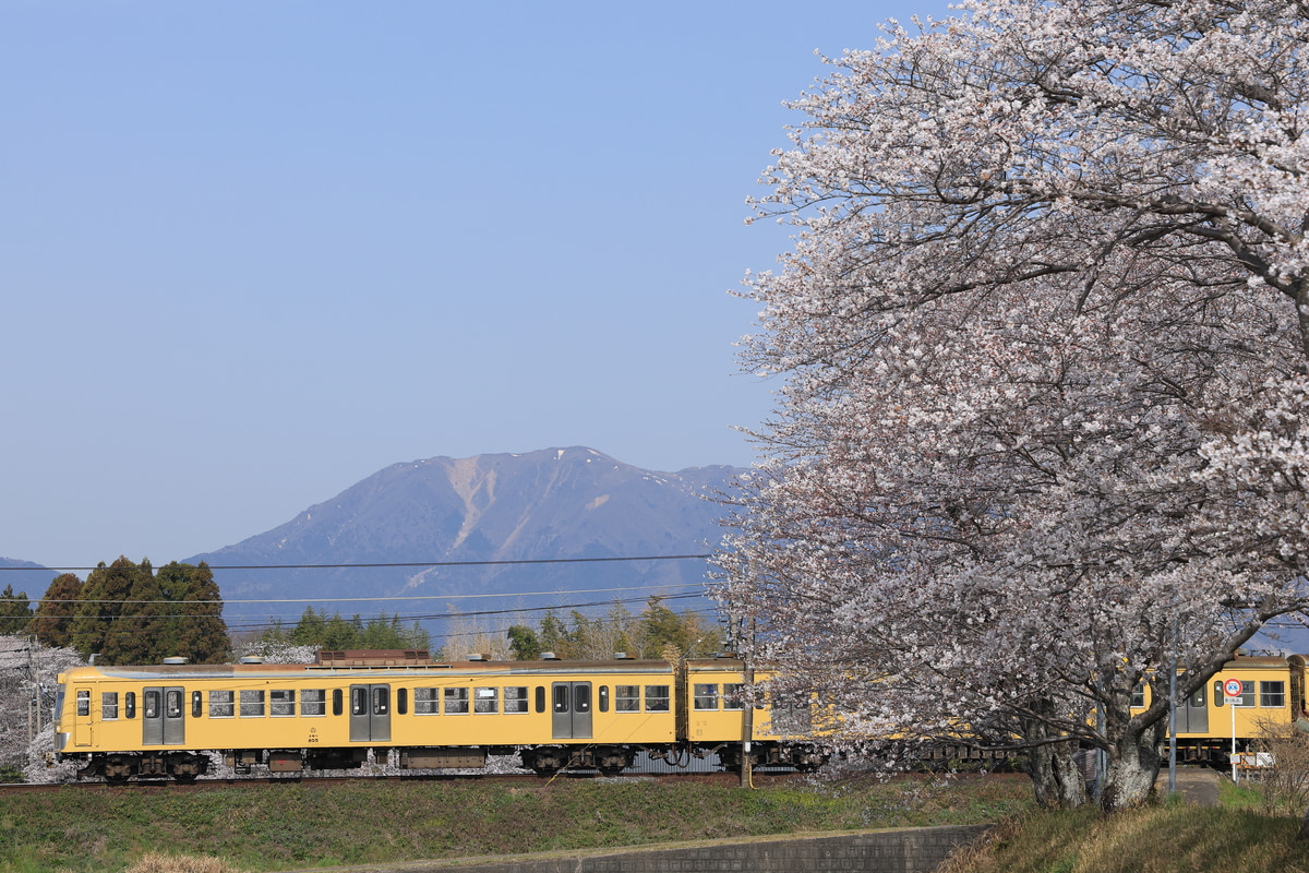 三岐鉄道 保々車両区 801系 805F