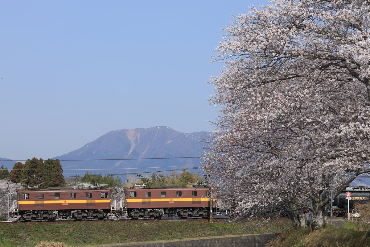 三岐鉄道 保々車両区 ED5080形 5081