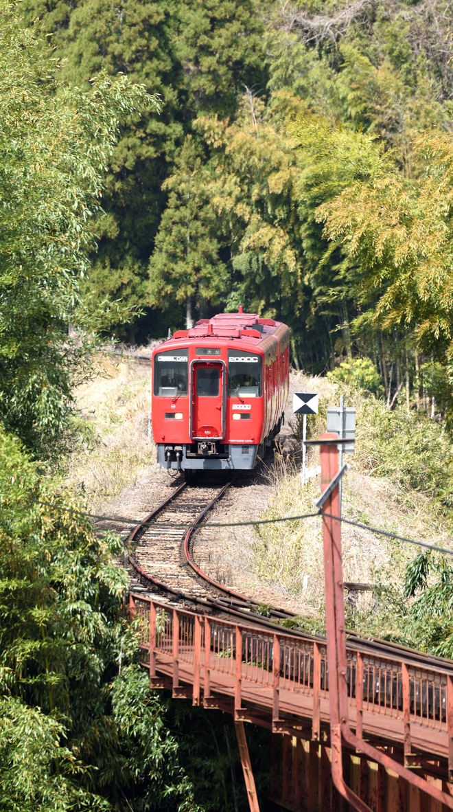 byまだこ
