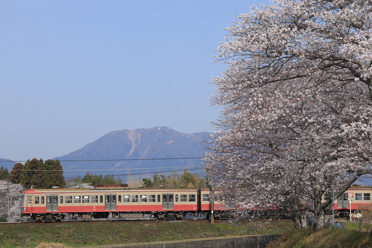 三岐鉄道 保々車両区 801系 803F