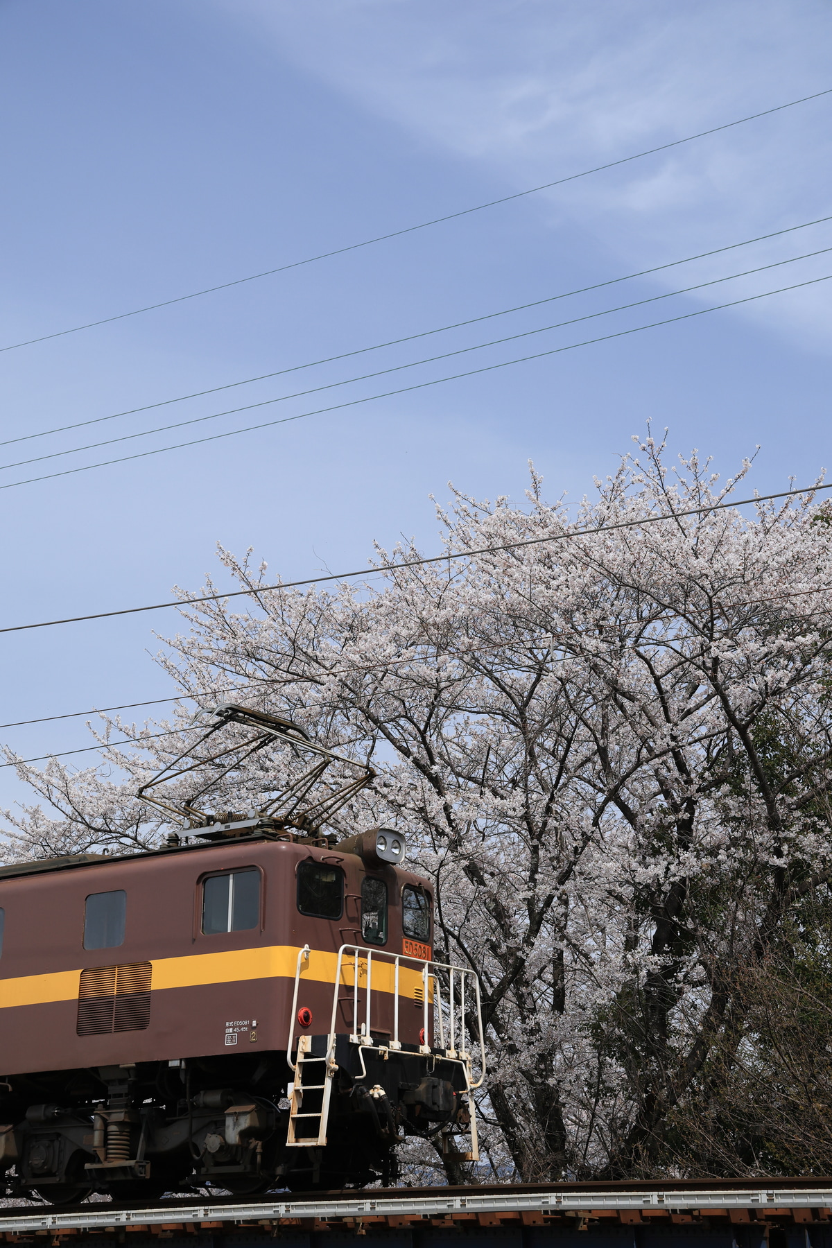 三岐鉄道 保々車両区 ED5080形 5081