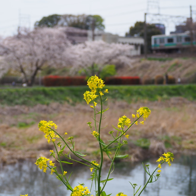 byあしま