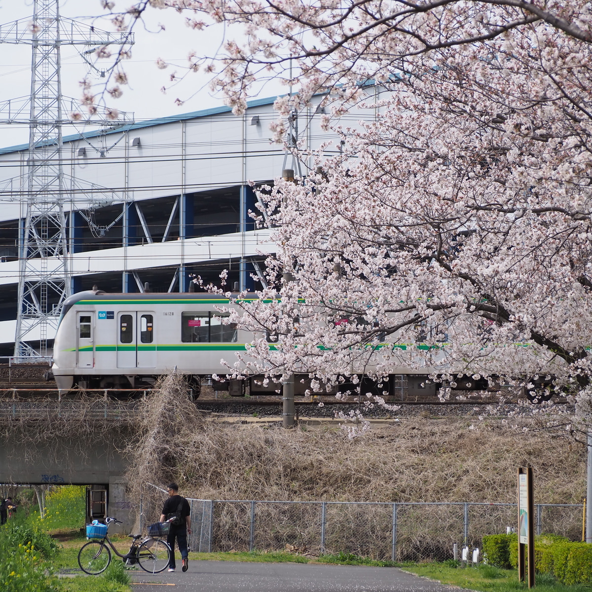 東京メトロ 綾瀬検車区 16000系 