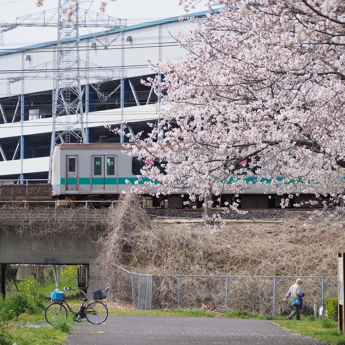 JR東日本 松戸車両センター本区 E233系 