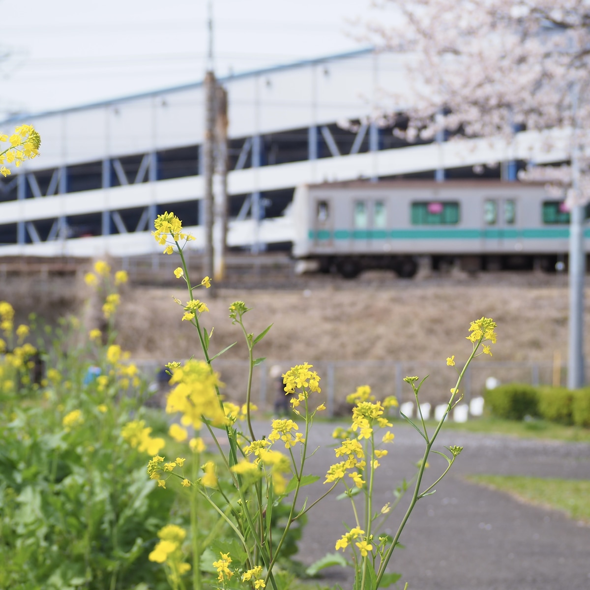 JR東日本 松戸車両センター本区 E233系 