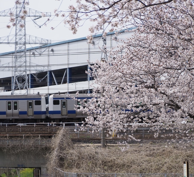 byあしま
