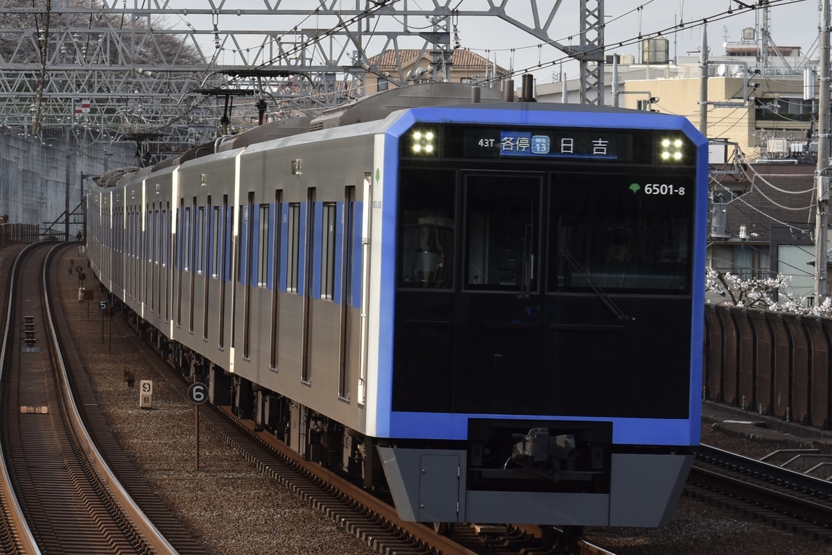 東京都交通局 志村車両検修場 6500形 6501F