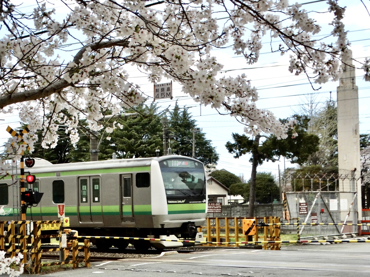JR東日本 鎌倉車両センター本所 E233系 
