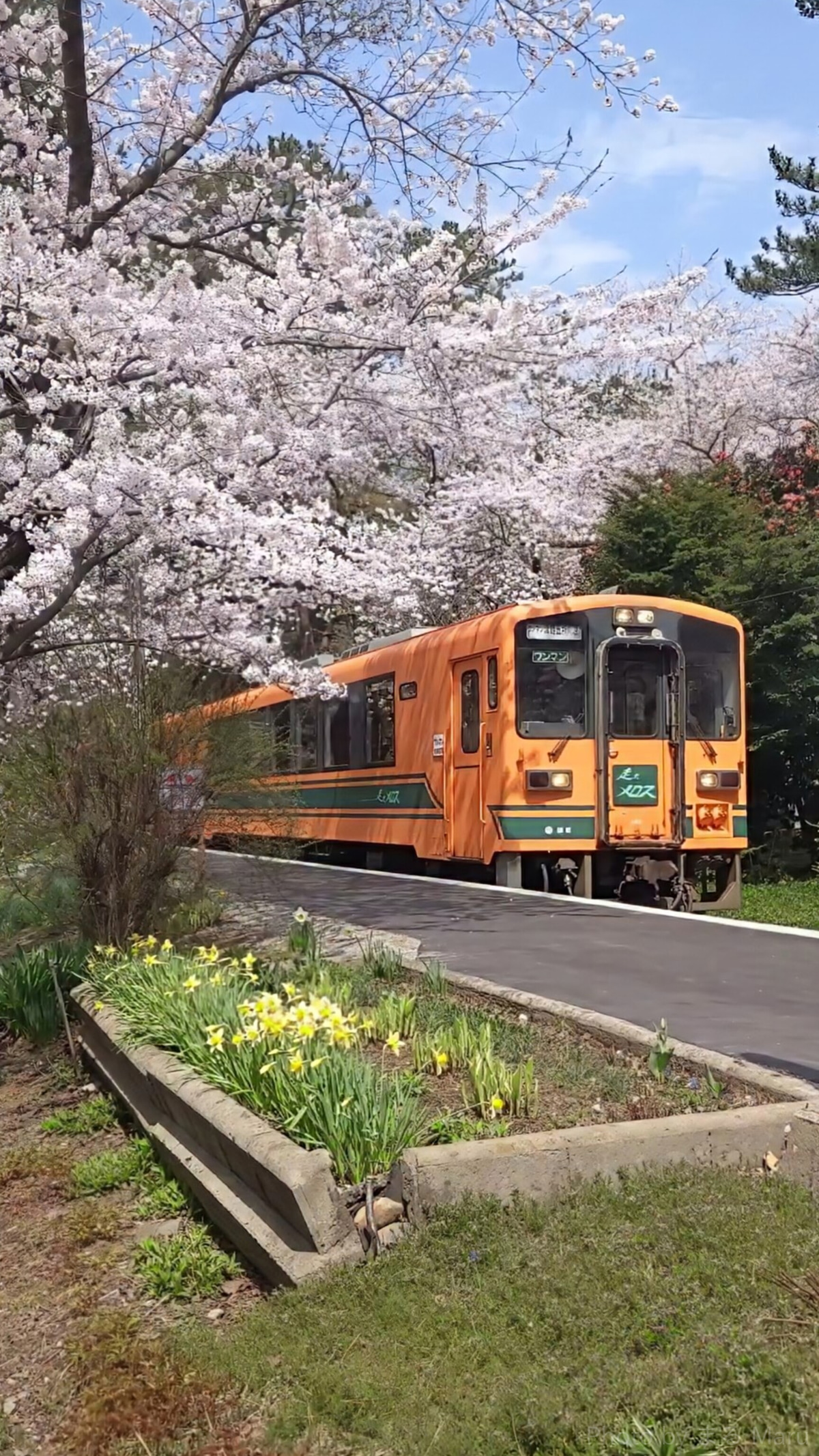 津軽鉄道 津軽五所川原機関区 津軽21形 津軽21-102