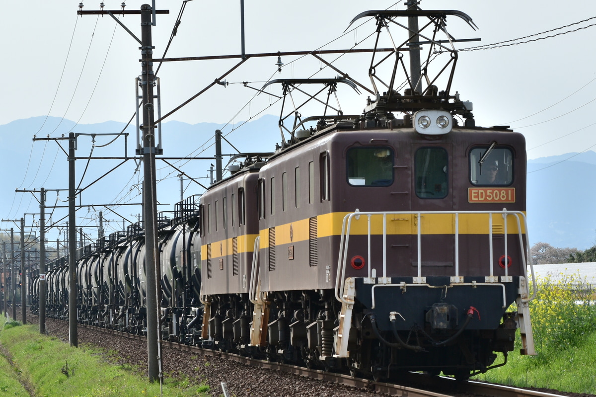 三岐鉄道 保々車両区 ED5080型 ED5081