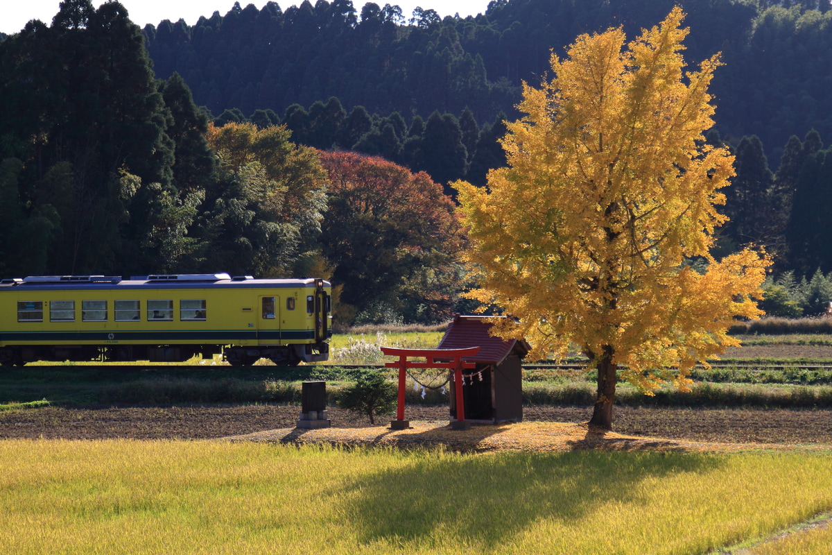 いすみ鉄道 大多喜車両基地 いすみ350形 352