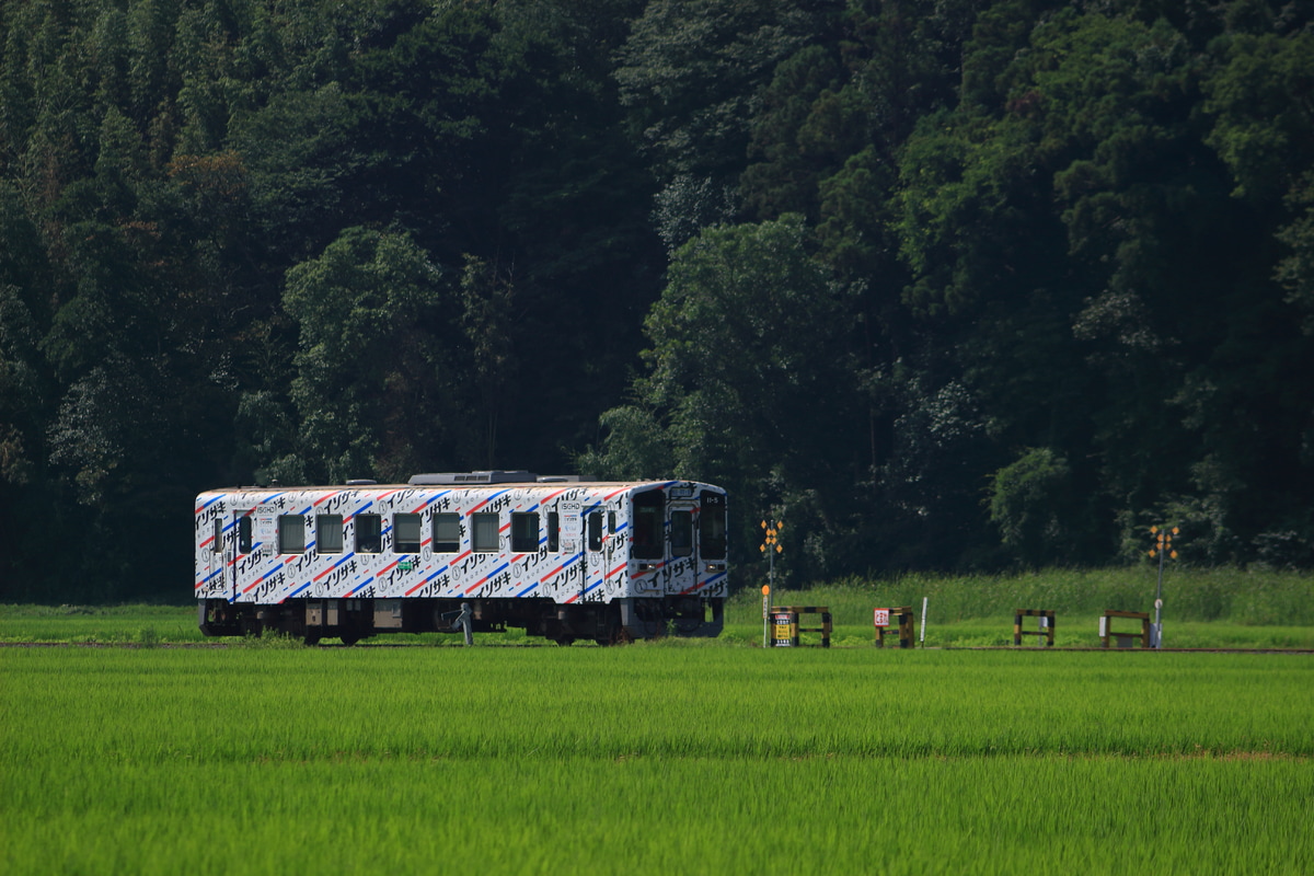 ひたちなか海浜鉄道 那珂湊車両基地 キハ11 5