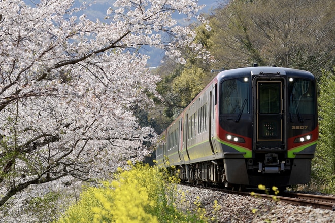 JR土讃線