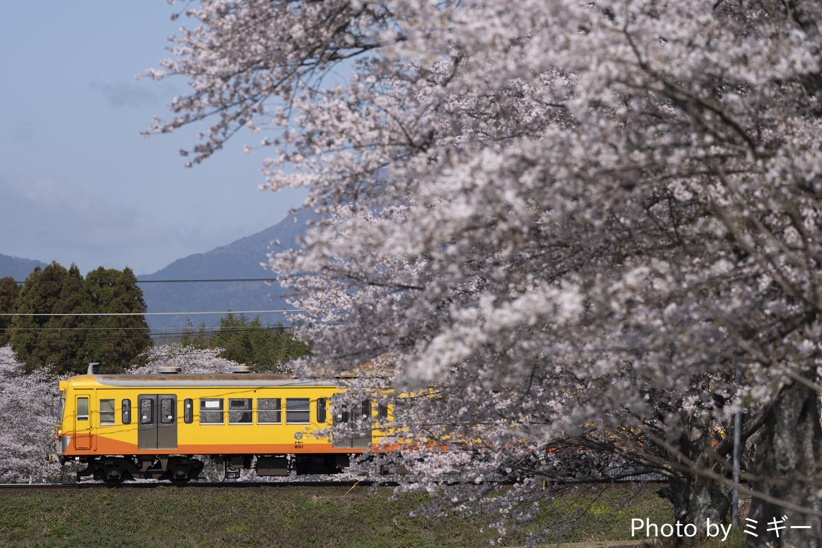 三岐鉄道  851系 851F