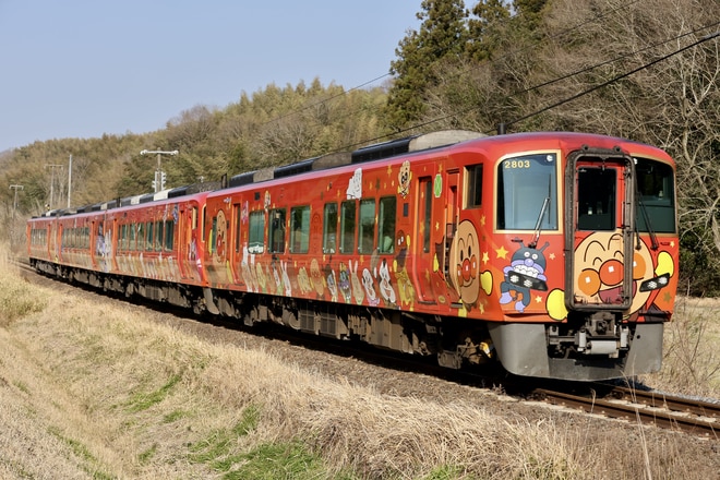 高知運転所2700系2803を塩入～黒川間で撮影した写真