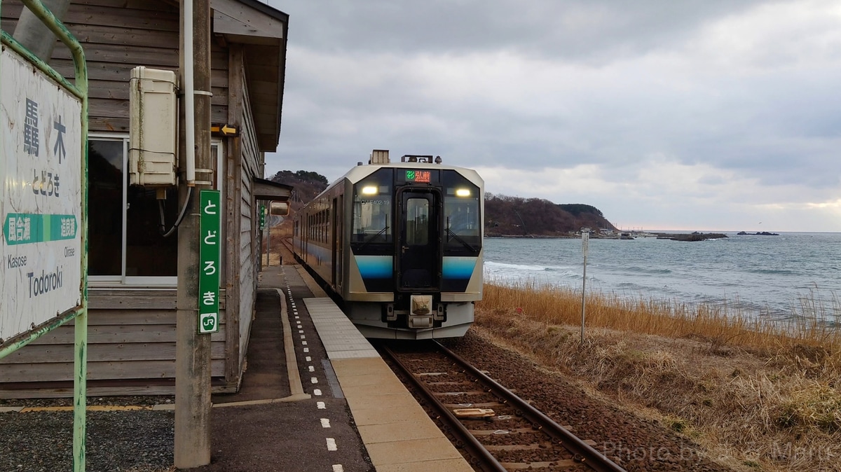 JR東日本 秋田総合車両センター南秋田センター GV-E400系 T219編成