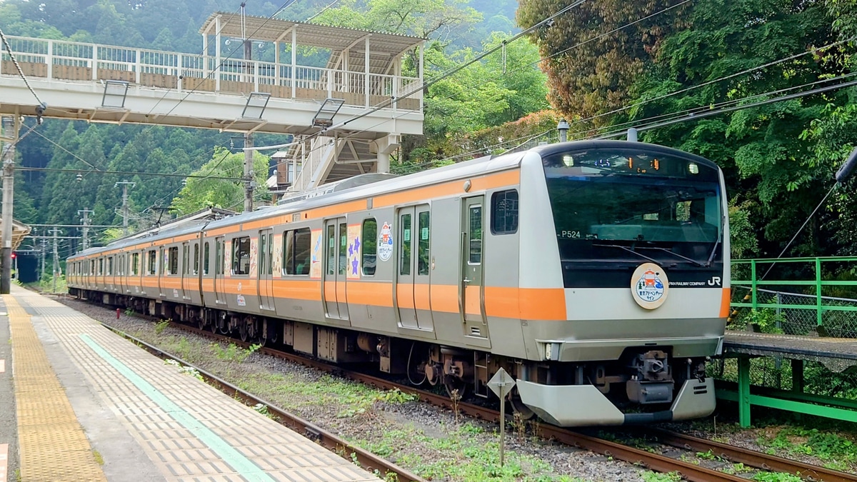 JR東日本 豊田車両センター本区 E233系 P524編成