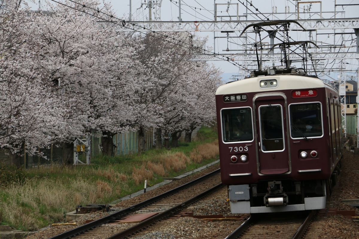阪急電鉄 正雀車庫 7300系 7303F