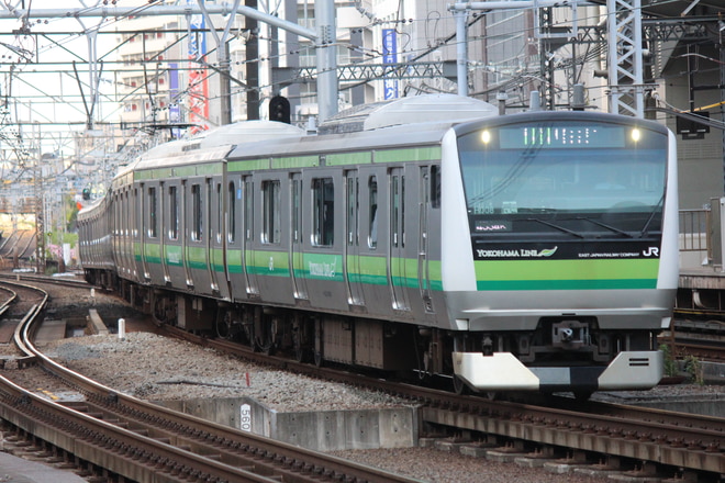 byヒヨドリ７