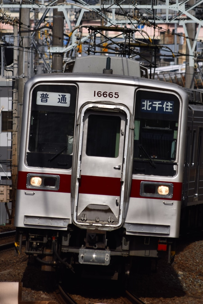 byトーブ