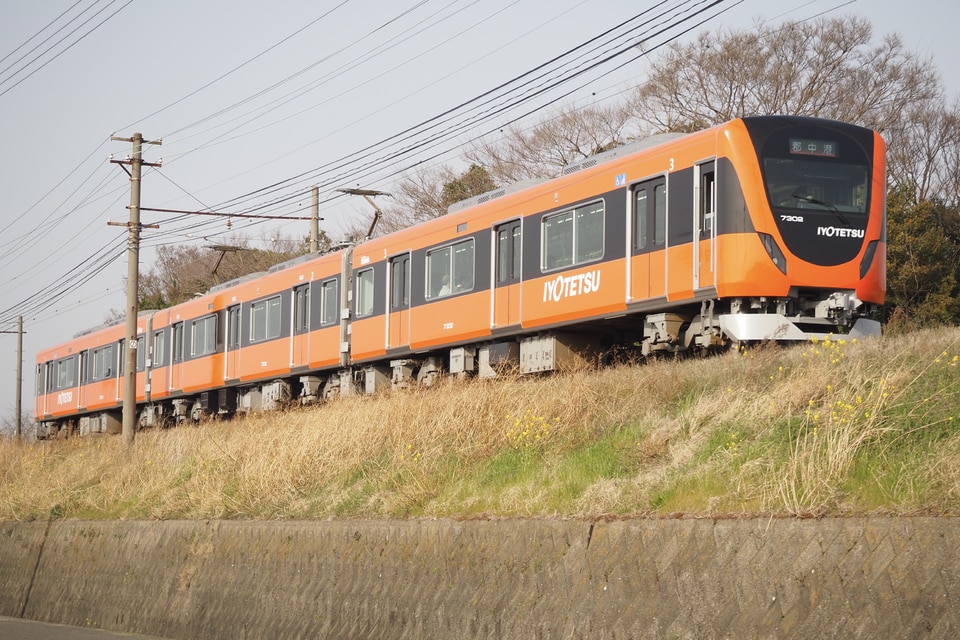 伊予鉄道 7000系 7502Fの写真