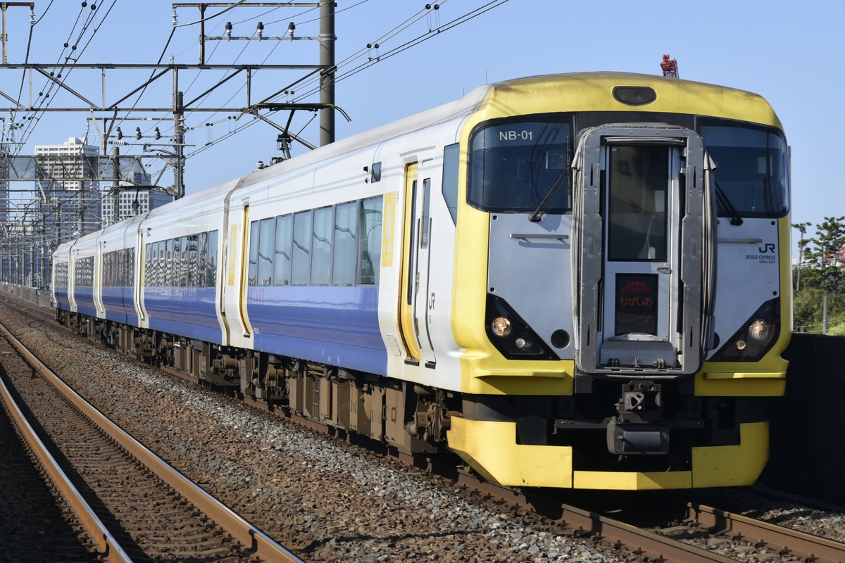 JR東日本 幕張車両センター E257系 マリNB-01編成