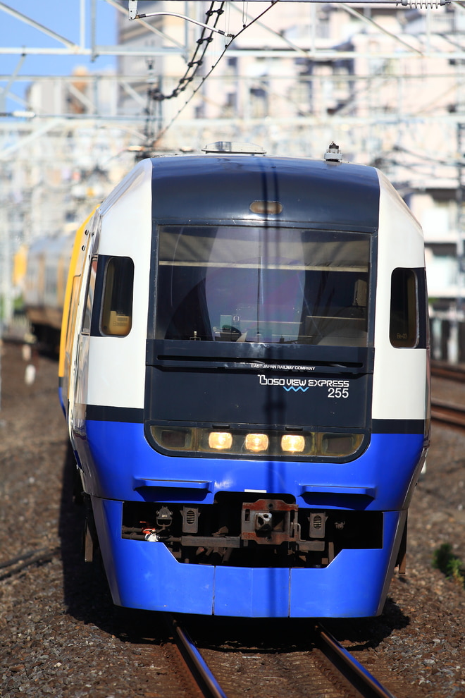 bysakawagawamania