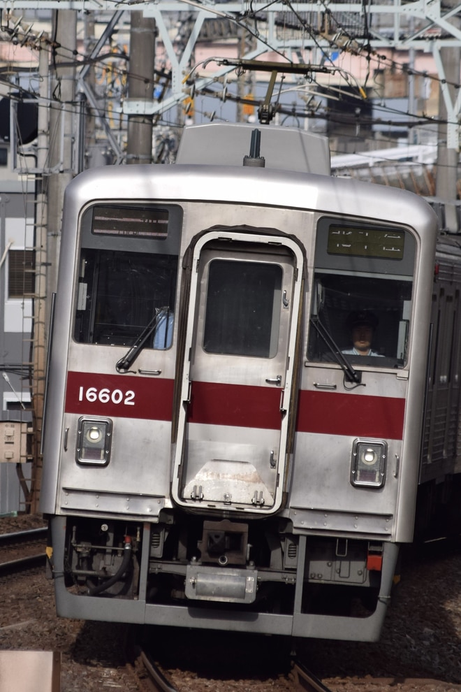 byトーブ