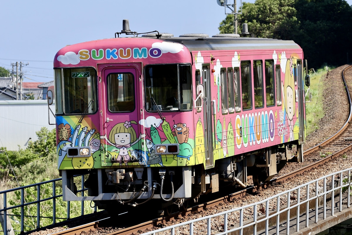土佐くろしお鉄道 土佐くろしお鉄道中村車両基地 TKT8000形 4