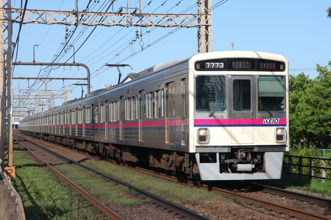 byみどり