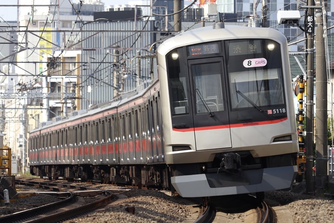 byてぃしか