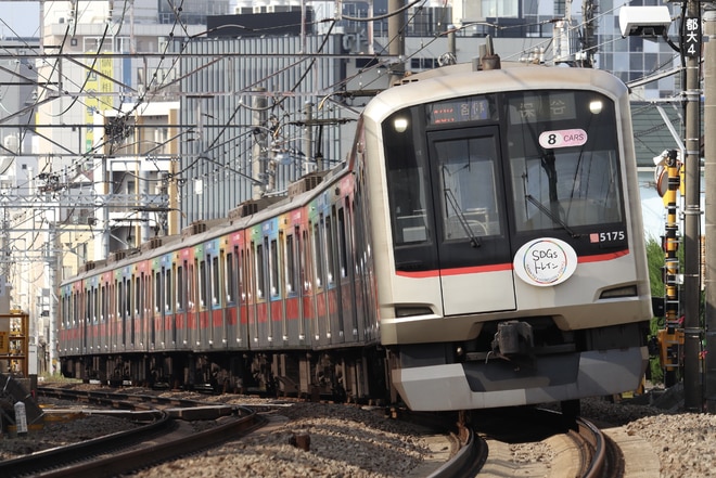 byてぃしか