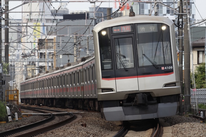 byてぃしか