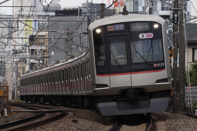 byてぃしか