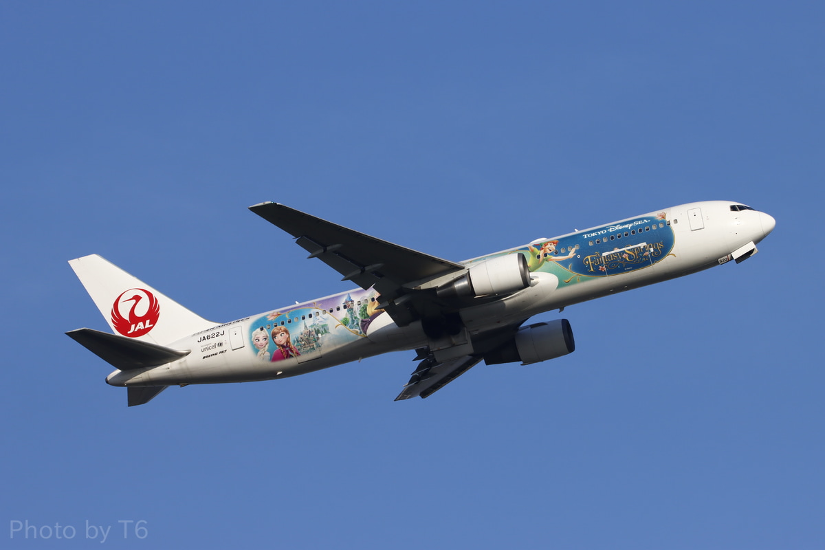 東京モノレール 羽田空港 Boeing767-300ER JA622J