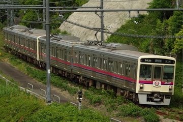 by山百合快特