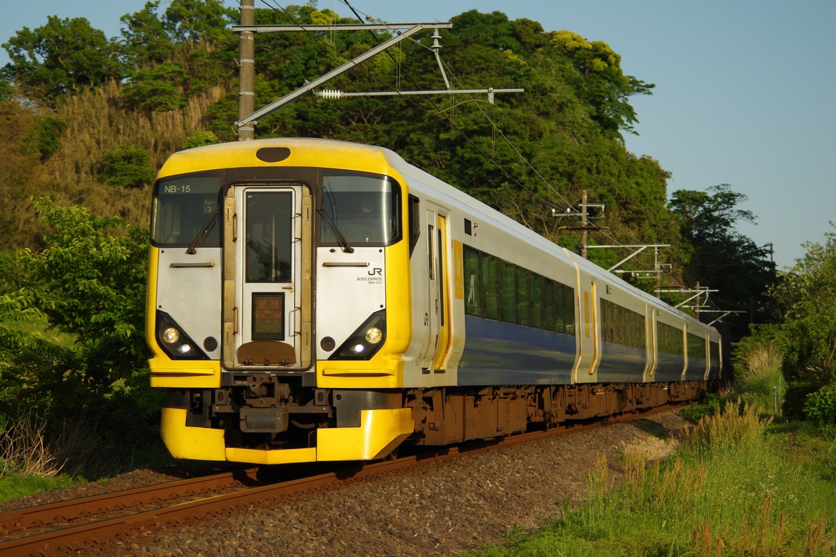 JR東日本 幕張車両センター本区 E257系 マリNB-15編成