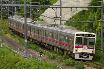 by山百合快特