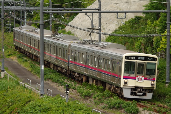 by山百合快特